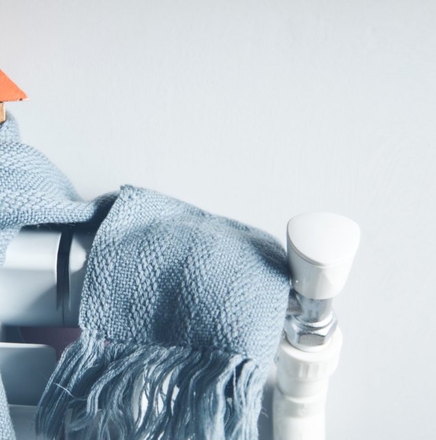 house-model-with-scarf-home-scaled-1